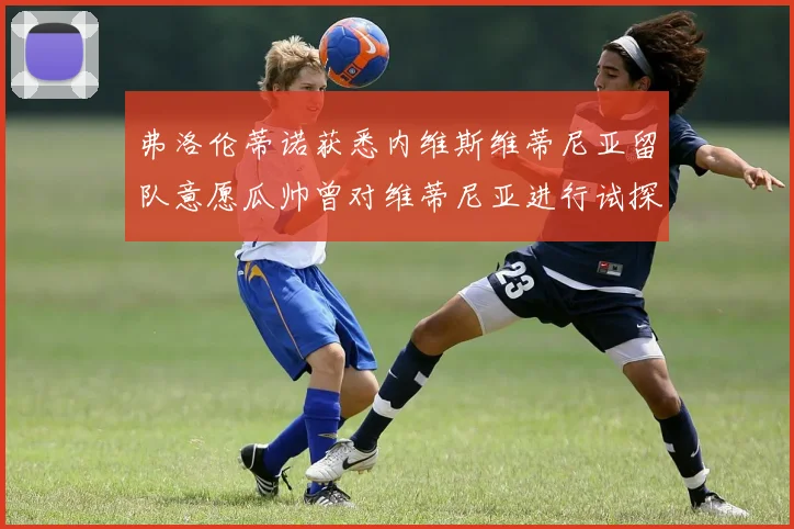 弗洛伦蒂诺获悉内维斯维蒂尼亚留队意愿瓜帅曾对维蒂尼亚进行试探